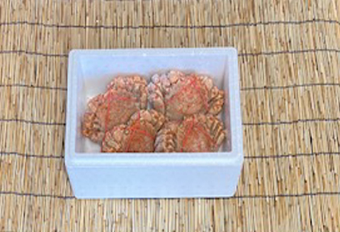 ＜12月21日決済分まで年内配送＞毛かに400g～550g前後×4尾 D-76010