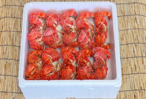 ＜12月21日決済分まで年内配送＞【北海道根室産】花咲かに400g～600g×10尾 D-76011