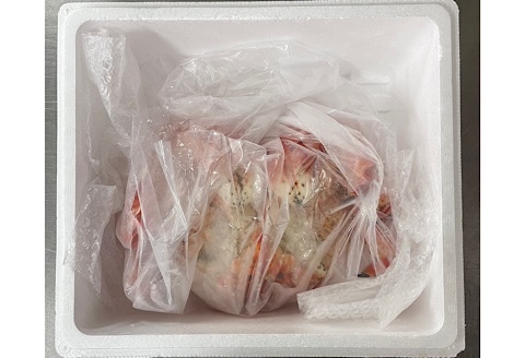 ＜12月21日決済分まで年内配送＞花咲ガニボイル冷凍1.5kg前後×1尾 D-89002