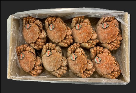 ＜12月21日決済分まで年内配送＞【北海道根室産】ボイル毛がに8～10尾(計4kg) E-01003