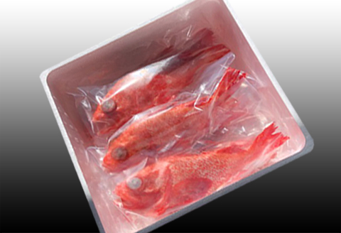 ＜12月21日決済分まで年内配送＞【北海道根室産】キチジ(キンキ・めんめ)×7～11尾(下処理済) E-30005