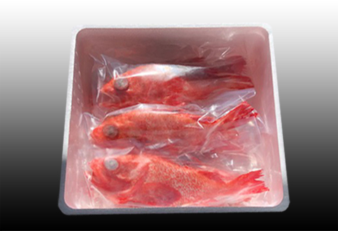 ＜12月21日決済分まで年内配送＞【北海道根室産】キチジ(キンキ・めんめ)×7～11尾(下処理済) E-36005