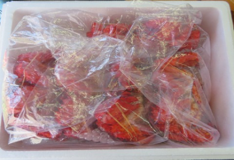 ＜12月21日決済分まで年内配送＞【北海道根室産】花咲がに5～6尾(計4.5kg以上) E-59001