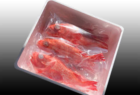 ＜12月21日決済分まで年内配送＞【北海道根室産】キチジ(キンキ・めんめ)×7～11尾(下処理済) E-70005