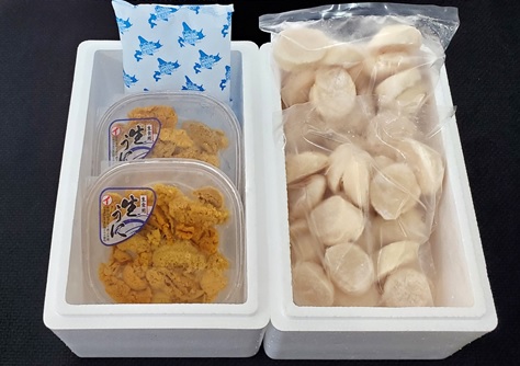 エゾバフンウニ塩水100g×2P、お刺身ホタテ貝柱500g×2P[11月下旬以降発送] E-71017