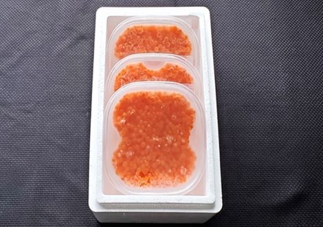 <年内配送可>秋鮭いくら醤油漬100g×3P F-53003