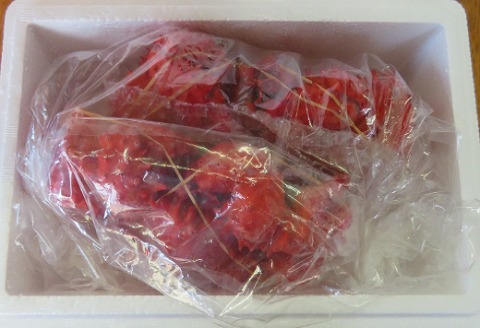 【北海道根室産】花咲がに2尾(計1.3kg) F-59005