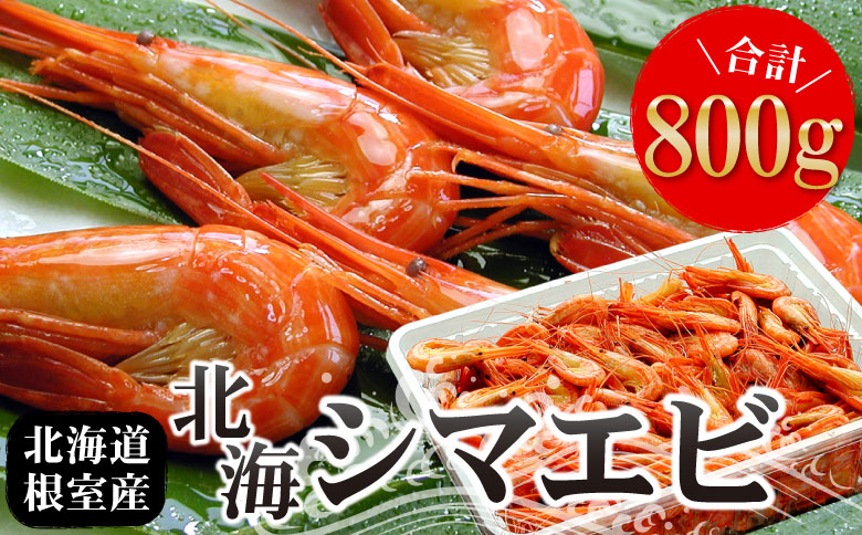 ＜12月21日決済分まで年内配送＞【北海道根室産】北海シマエビ800g(80～130尾) A-07012