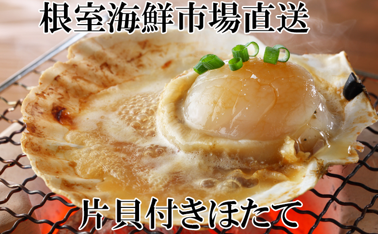 ＜12月10日決済分まで年内配送＞＼漁業者応援品／片貝ほたて10枚×2P A-11121