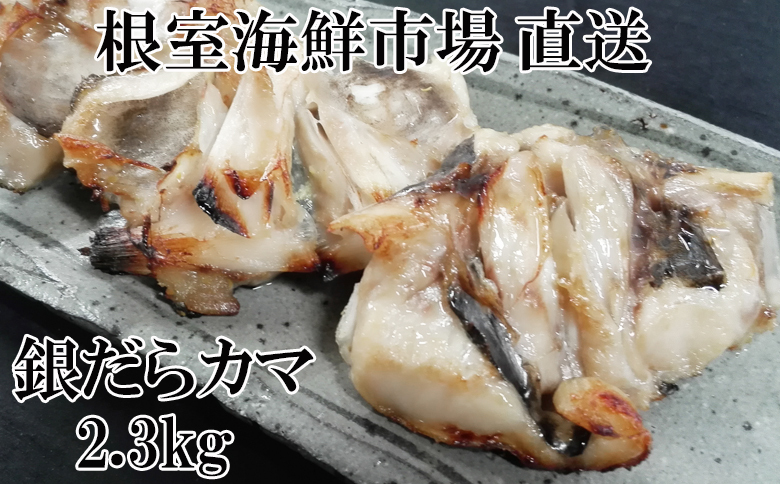 ＜12月10日決済分まで年内配送＞銀だらカマ2.3kgA-11138