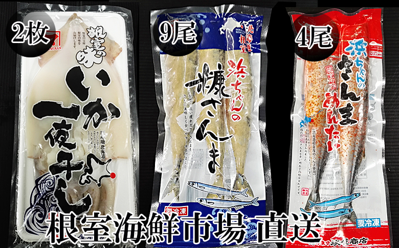 【北海道根室産】いか一夜干し2枚・さんま明太4尾・糠さんま9尾 A-11257