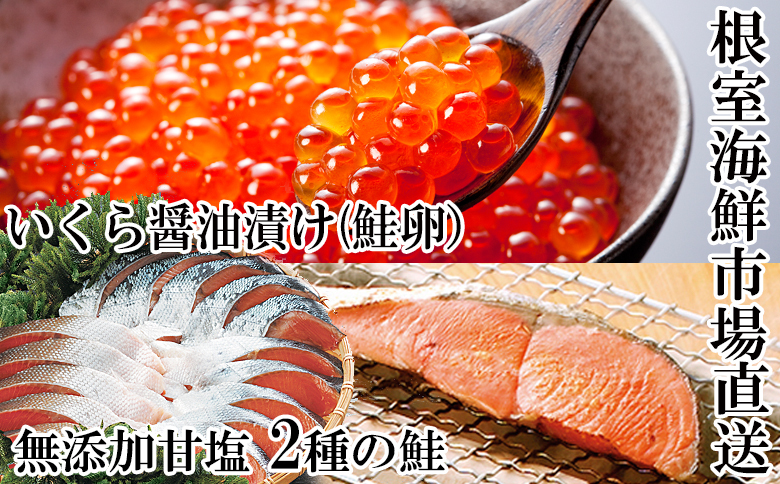 無添加天然甘塩紅鮭10切、秋鮭5切、いくら醤油漬け(鮭卵)70g×2P A-14096