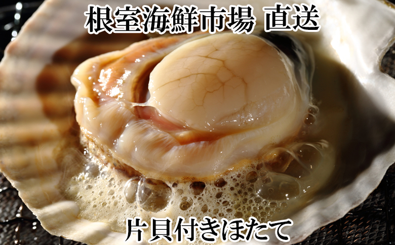 ＼漁業者応援品／片貝ほたて10枚×2袋 A-14134