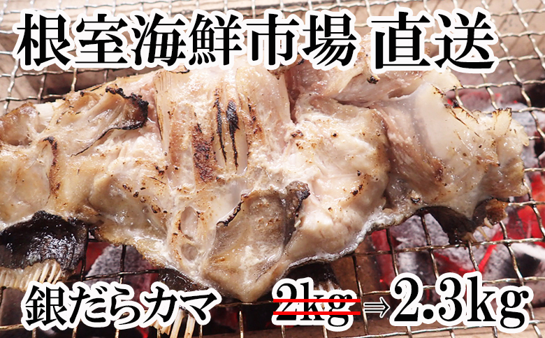 銀だらカマ2.3kg A-14151