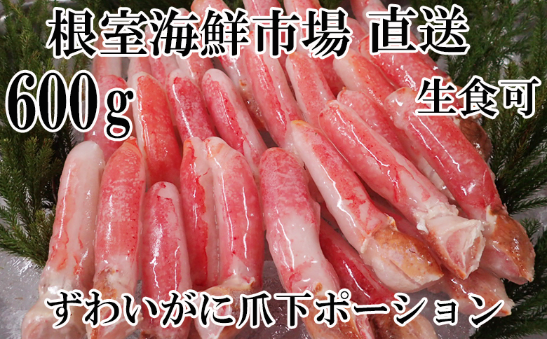 生食用本ズワイガニ爪下棒肉ポーション600g A-14236