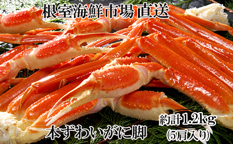 ボイル本ずわいがに脚5肩(計約1.2kg) A-14261