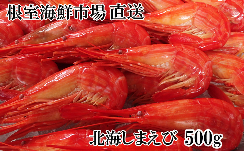 ＜12月10日決済分まで年内配送＞北海しまえび500g×1P A-14270