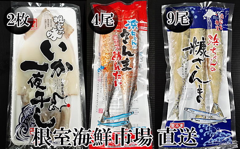 ＜12月10日決済分まで年内配送＞【北海道根室産】いか一夜干し2枚・さんま明太4尾・糠さんま9尾 A-14273