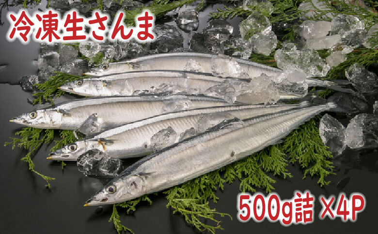 【北海道根室産】冷凍生さんま500g×4P（計2kg） A-19016
