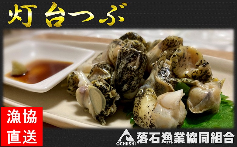 ＜12月14日決済分まで年内配送＞【北海道根室産】灯台つぶ200g×4P(計800g) A-20006