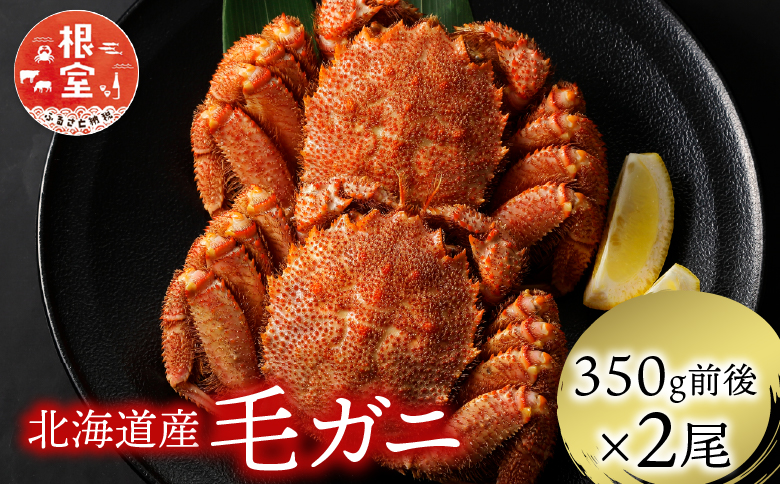 ＜12月21日決済分まで年内配送＞浜ゆで毛がに350g前後×2尾 A-21001