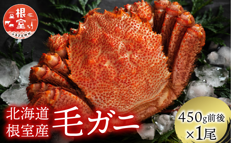 ＜12月21日決済分まで年内配送＞【北海道根室産】毛がに450g前後×1尾 A-21006