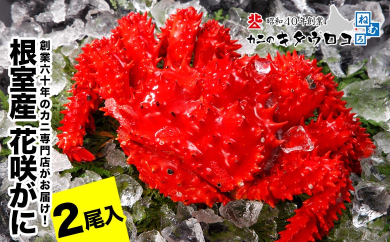 【12/31決済分まで1月中配送】 【北海道根室産】花咲がに550g～650g前後×2尾 A-25026