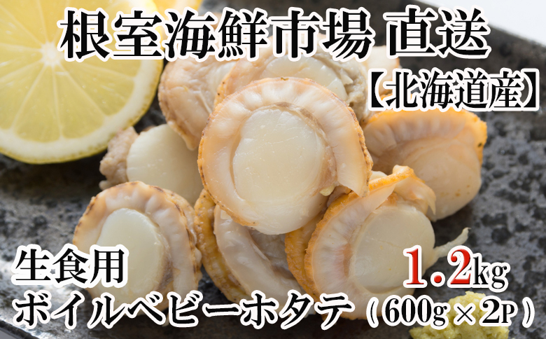＼漁業者応援品／根室海鮮市場＜直送＞ボイルベビーほたて(生食用)600g(60～120玉)×2P A-28118