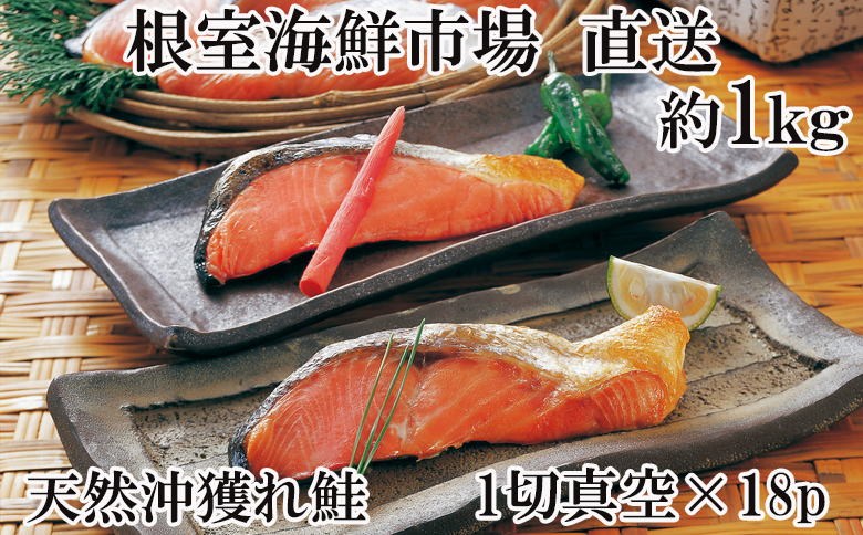 根室海鮮市場＜直送＞甘汐天然沖獲れ鮭1切×18P(約1kg) A-28135