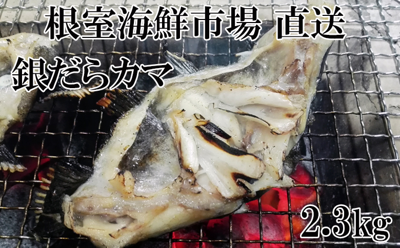 根室海鮮市場＜直送＞銀だらカマ2.3kg A-28141