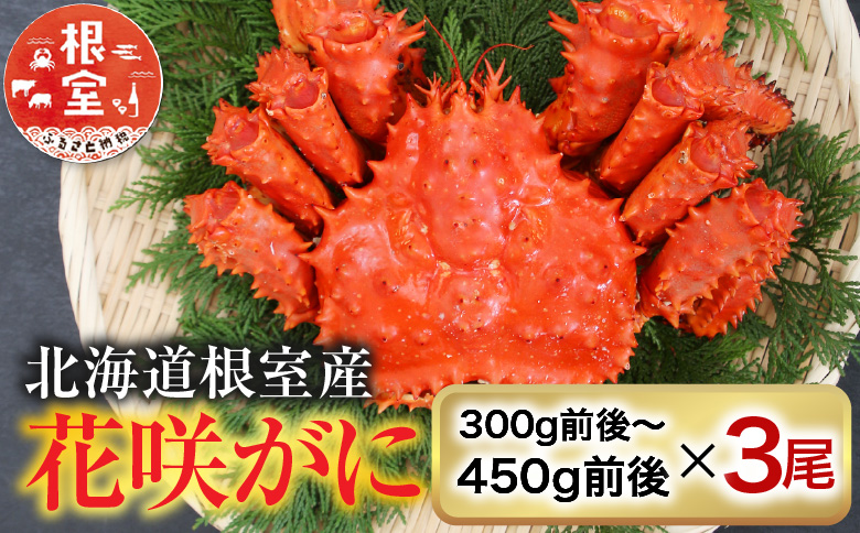 【12/31決済分まで1月中配送】 【北海道根室産】花咲かに300g前後～450g前後×3尾 A-36001