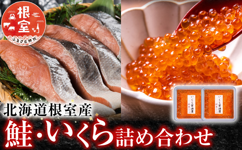 【北海道根室産】＜鮭匠ふじい＞鮭・いくら詰合せ A-42064