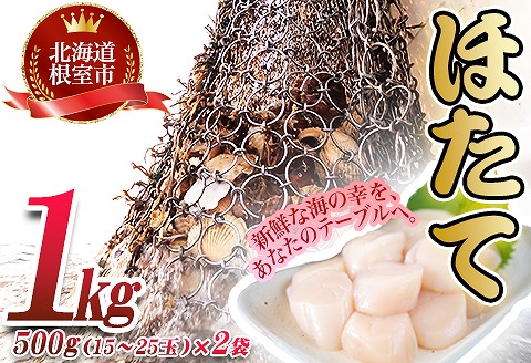 ＼漁業者応援品／ほたて貝柱500g×2P(計1kg) A-45001