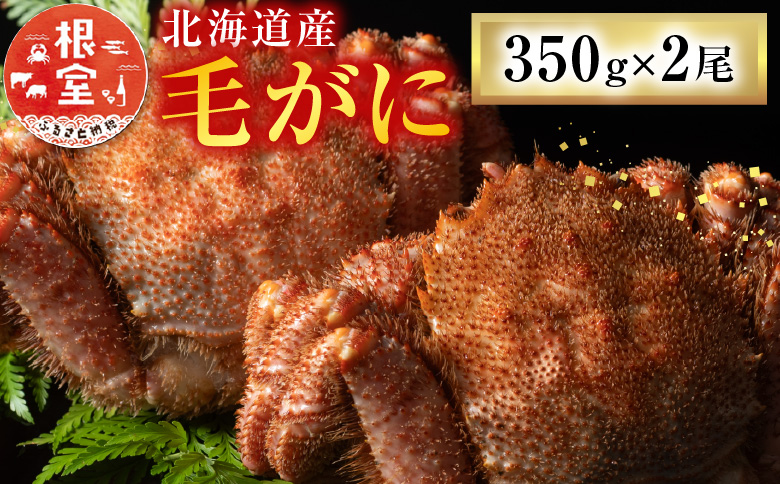 毛がに350g×2尾 A-54011