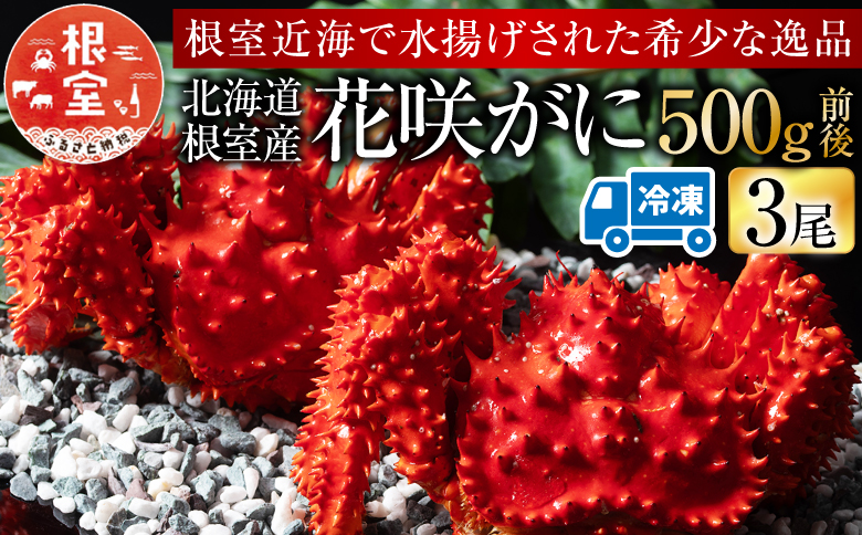 ＜12月21日決済分まで年内配送＞【北海道根室産】花咲がに500g前後×3尾(計1.5kg) A-54013