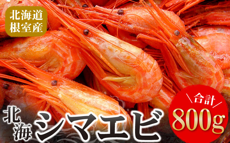 【北海道根室産】北海シマエビ800g(80～130尾) A-56014