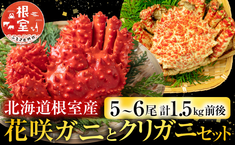 ＜12月21日決済分まで年内配送＞【北海道根室産】花咲ガニとクリガニセット5～6尾(計1.5kg前後) A-57015