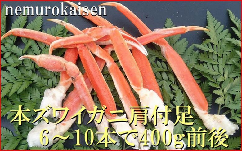 【12/31決済分まで1月中配送】 本ズワイガニ肩付足6～10本（計400g前後） A-57064