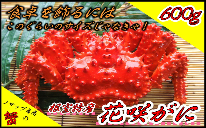 【12/31決済分まで1月中配送】 【北海道根室産】ボイル冷凍花咲がに600g×1尾 A-59019