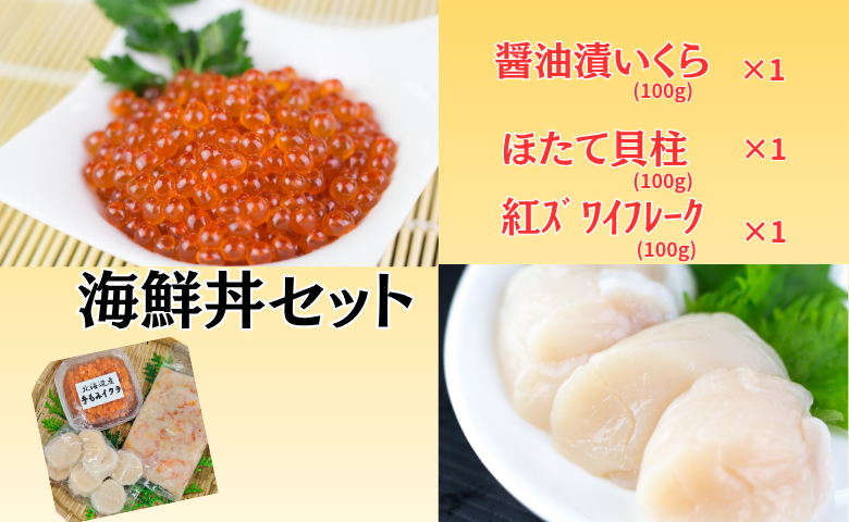 ＜12月10日決済分まで年内配送＞【北海道根室産】海鮮丼セット A-66003