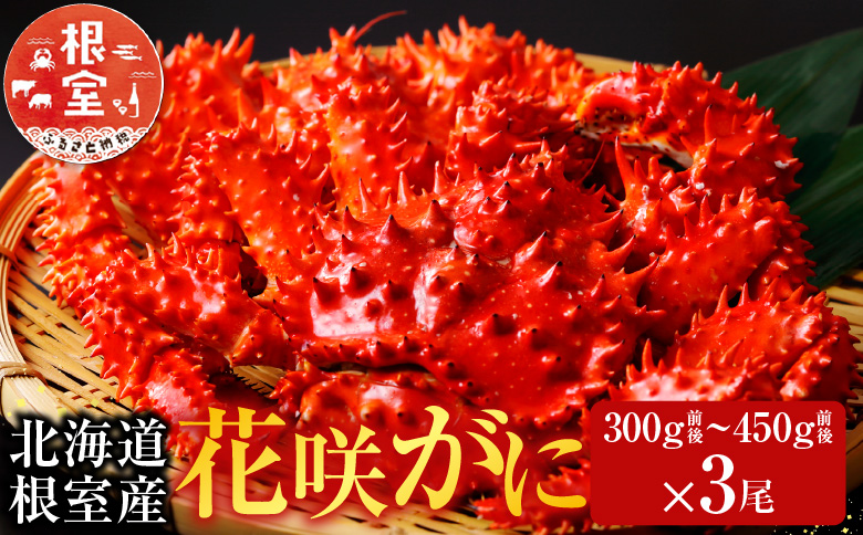 【北海道根室産】花咲かに300g前後～450g前後×3尾 A-70001