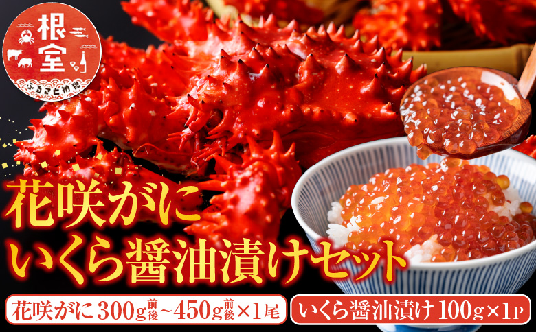 ＜12月21日決済分まで年内配送＞花咲かに300g前後～450g前後×1尾・いくら醤油漬け100g×1Pセット A-70027