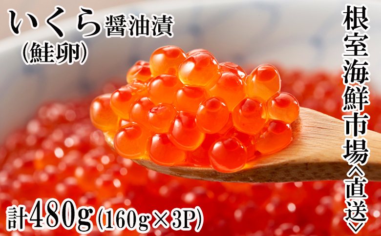 ＜12月10日決済分まで年内配送＞いくら醤油漬(鮭卵)160g×3P(計480g) B-11012