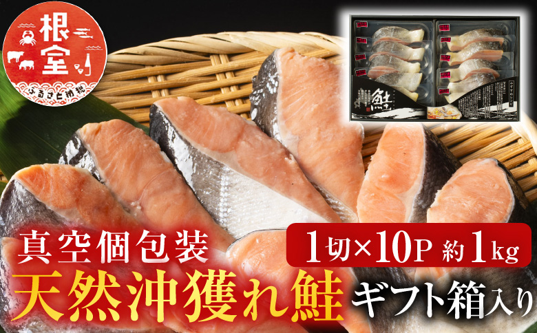 天然沖獲れ鮭1切×10P(約1kg) B-11060