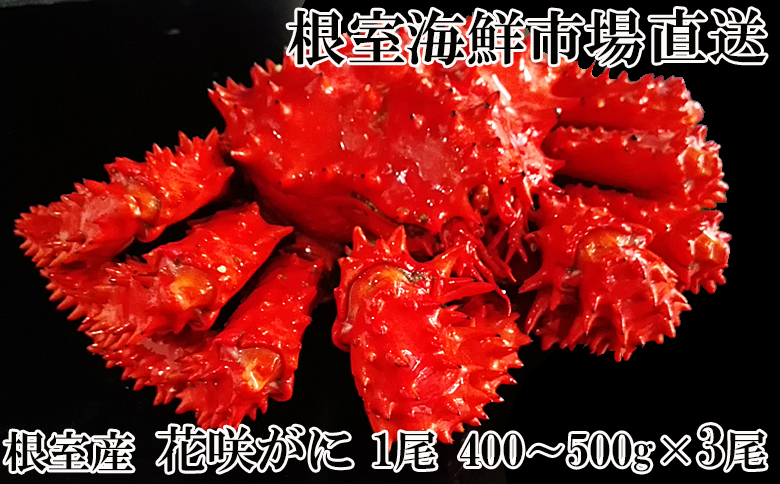 ＜12月10日決済分まで年内配送＞【北海道根室産】花咲ガニ400～500g×3尾 B-11119