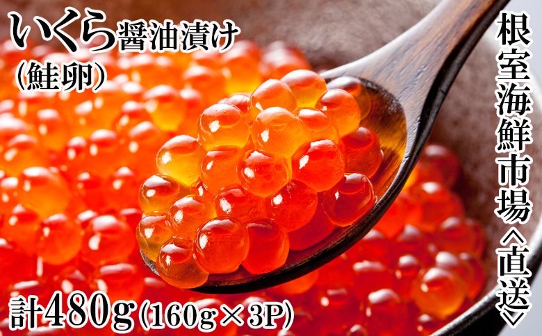 ＜12月10日決済分まで年内配送＞いくら醤油漬け(鮭卵)160g×3P(計480g) B-14012