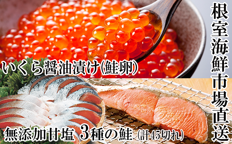 無添加天然甘塩鮭3種切身各15切、いくら醤油漬け(鮭卵)70g×2P B-14045