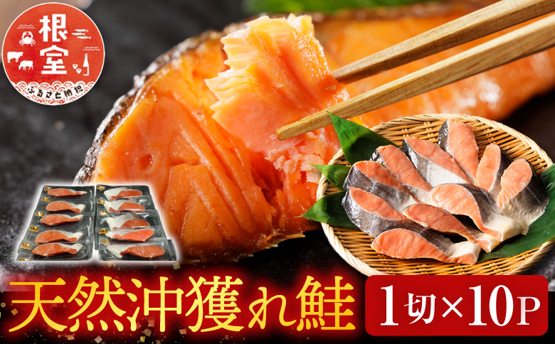 天然沖獲れ鮭1切×10P(約1kg) B-14062