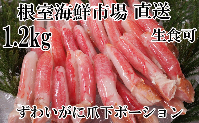 生食用本ズワイガニ爪下棒肉ポーション1.2kg B-14086