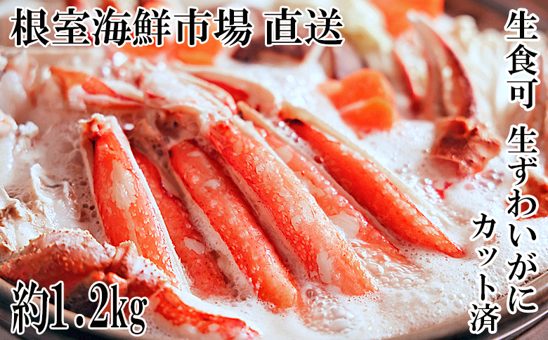 生食可！カット済み生ずわいがに約1.2kg(お刺身・焼きガニ・カニ鍋等) B-14101